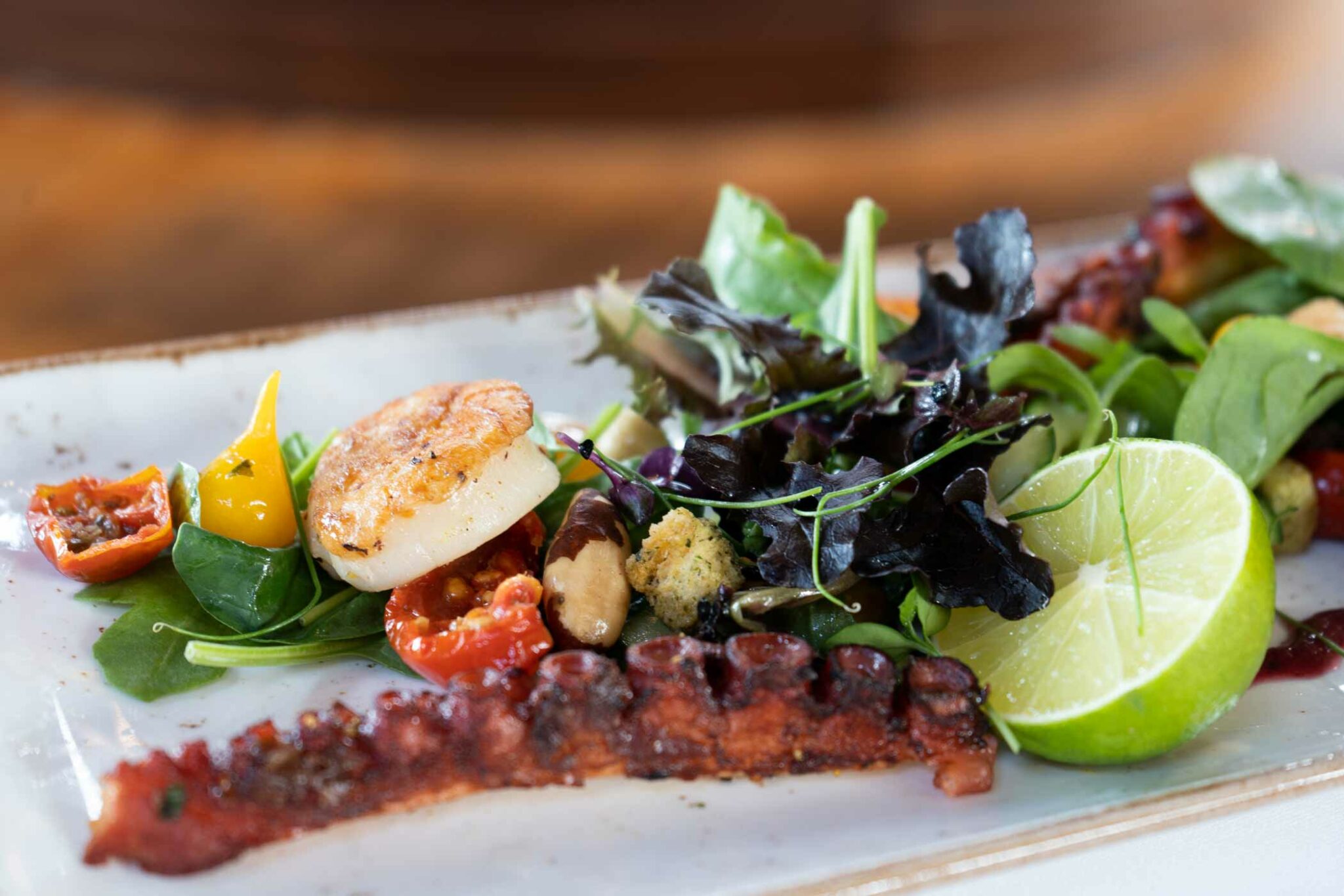 Gegrillter Oktopus mit Salat, Tomaten, Kräutern und Limette auf einem langen Teller.